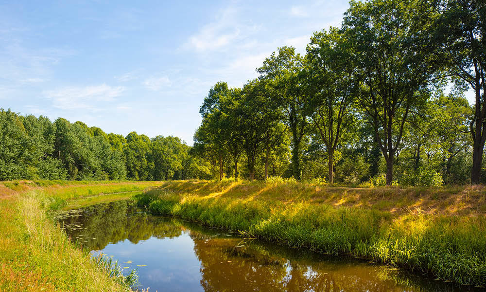 0723-nieuwsberichten3.jpg