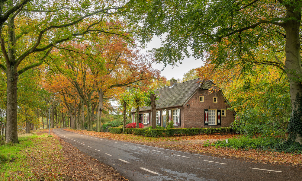 20201031-rosmalen-bl001-pano-kl.jpg