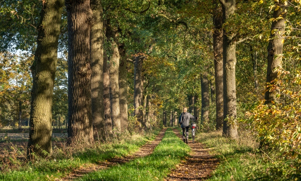 20201031-rosmalen-bl115-kl.jpg